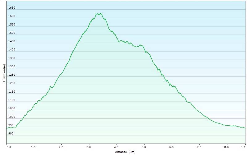 Höhenprofil der Route