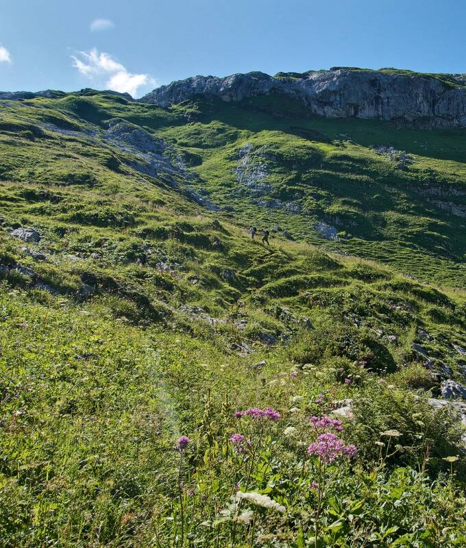 Zuerst über die grünen Hänge
