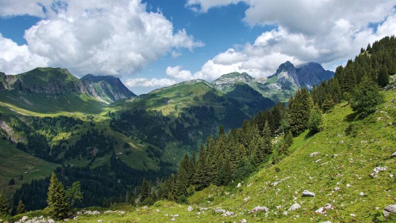 250710-Wanderung-Silberen-ab-Pragelpass-05667_ek_subtle