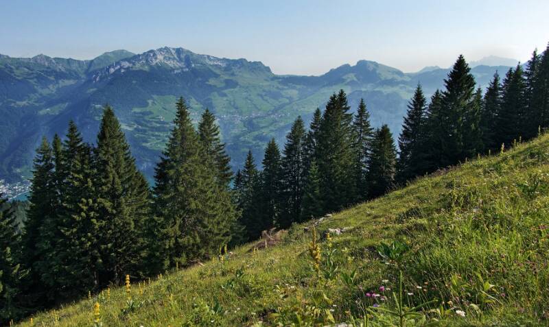 250705-Wanderung-Nuenchamm-ab-Habergschwaend-05373_10_ek_subtle2