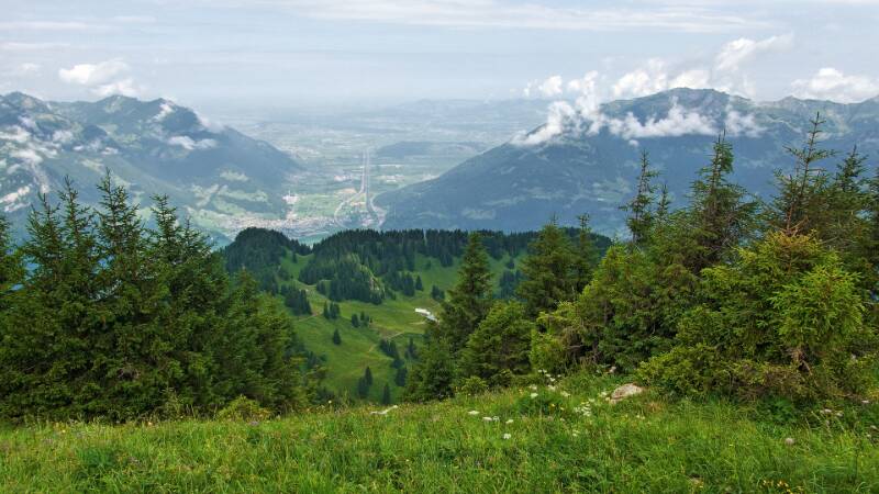 250705-Wanderung-Nuenchamm-ab-Habergschwaend-05395_10_ek_subtle2