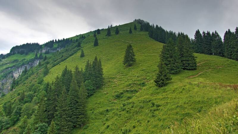 250705-Wanderung-Nuenchamm-ab-Habergschwaend-05461_2_305_ek_Balanced