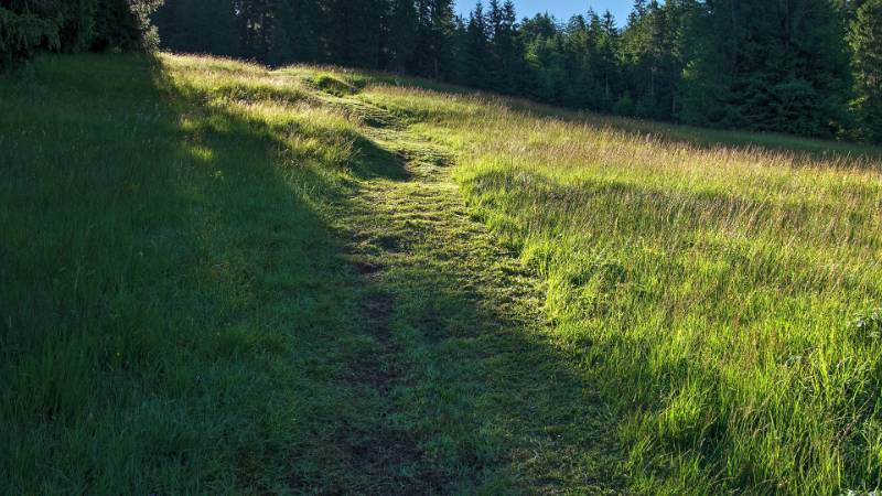 Der Wanderweg geht über die sanfte Wiesen