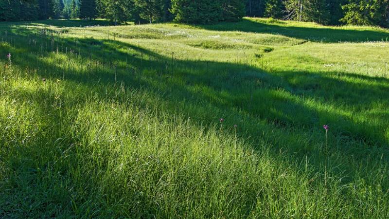 250629-Wanderung-Furggelenstock-ab-Brunnii-05257_8_905_ek_Balanced