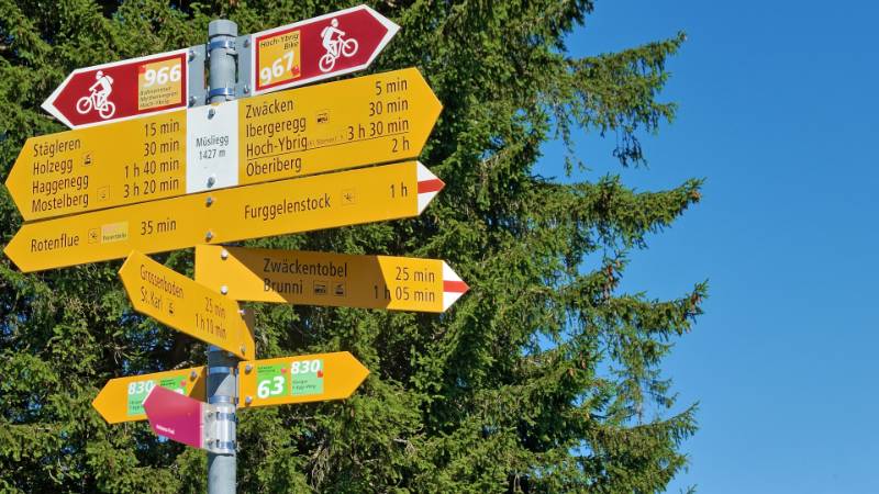 Die grosse Kreuzung