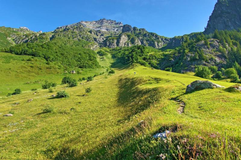 Der Wanderweg schlingert über gemähte Wiesen nach oben