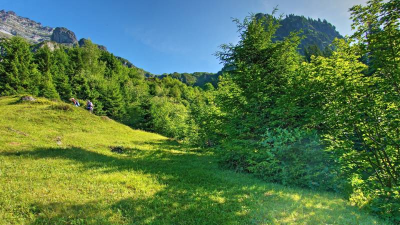 250625-Wanderrunde-zur-Windgaellen-Huette-ab-Golzern-05026_7_801_ek_Balanced2
