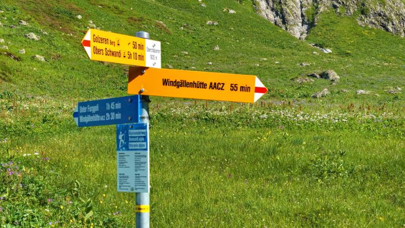 250625-Wanderrunde-zur-Windgaellen-Huette-ab-Golzern-05053_4_504_ek_Myshkin2