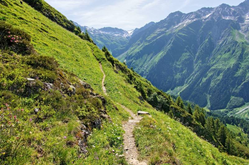 250625-Wanderrunde-zur-Windgaellen-Huette-ab-Golzern-05056_11_ek_subtle2