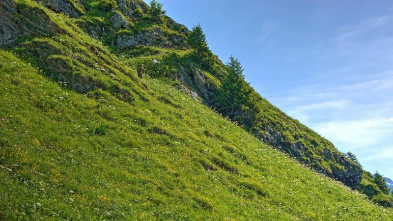 250625-Wanderrunde-zur-Windgaellen-Huette-ab-Golzern-05062_3_401_ek_Balanced2