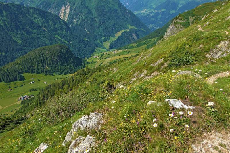 Blick ins Maderanertal