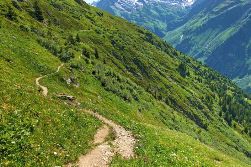 250625-Wanderrunde-zur-Windgaellen-Huette-ab-Golzern-05074_5_601_ek_Balanced2