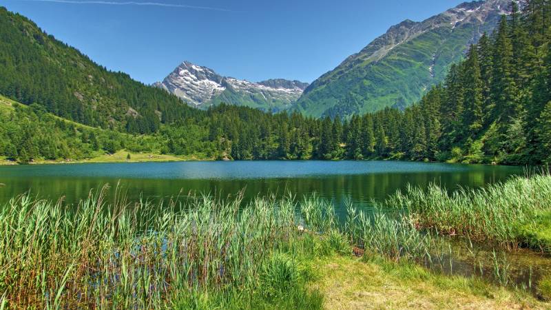 Golzerensee