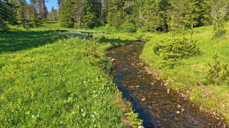 Eine Weile der Wanderweg geht am Fluss Grosse Schlieren