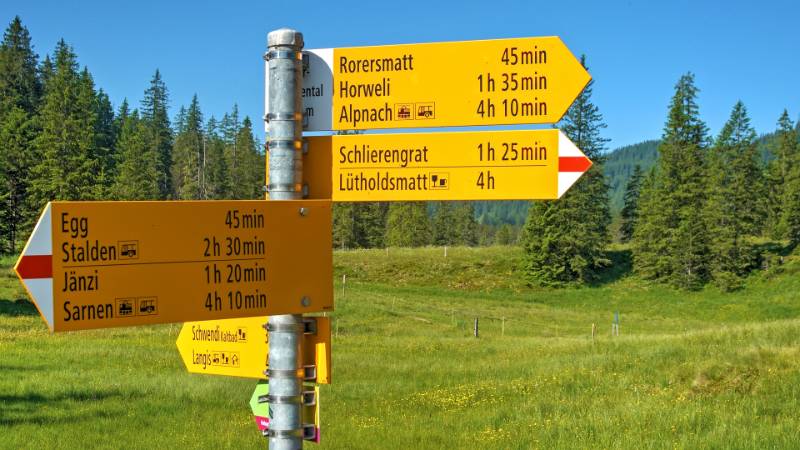 250620-Wanderung-Jaenzi-abLangis-04843_4_501_ek_Balanced2