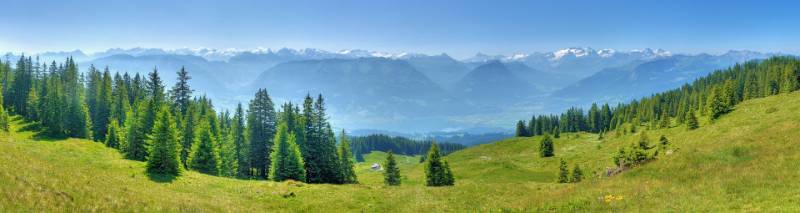 250620-Wanderung-Jaenzi-abLangis-04903-pano_b_2_02_ek_ForegroundEnhance2