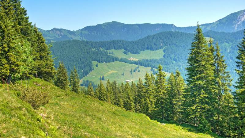 250620-Wanderung-Jaenzi-abLangis-04933_4_501_ek_Balanced2