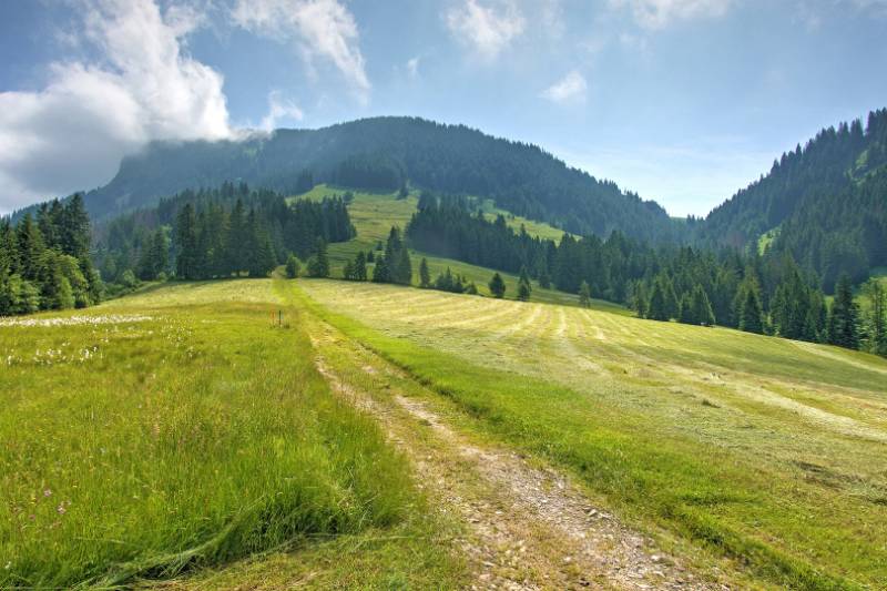 Schimberig ist in der Wolke