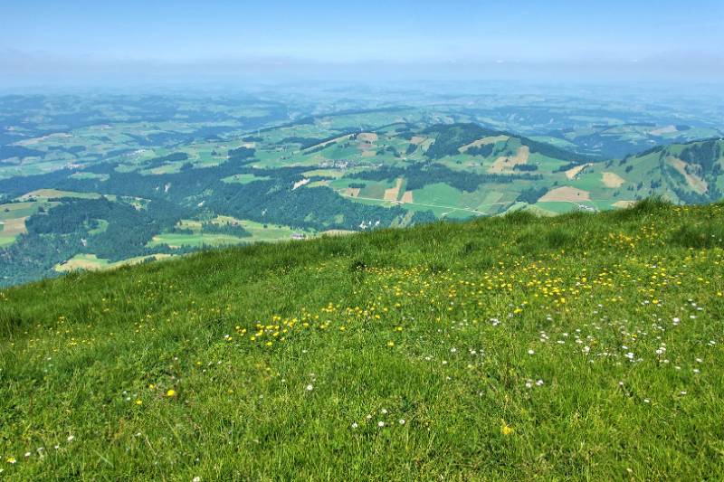 250617-Wanderung-auf-Schimberig-ab neuhuette-04801