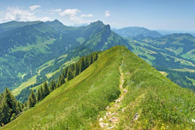 Wieder auf dem Grat zurück. Im Hintergrund - Fürstei und Schafmatt