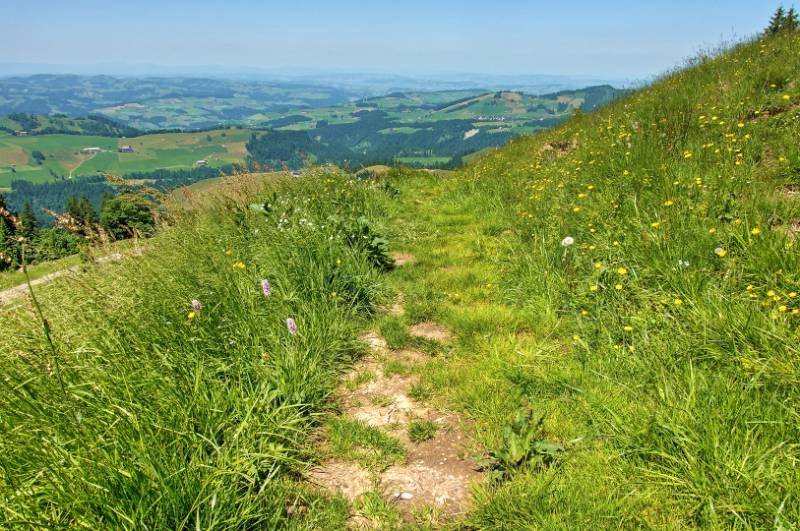 Schöner Wanderweg