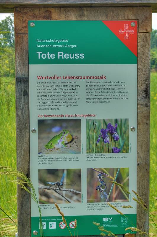 250608-reussrunde-sulz-bremgarten-04295_6_702_ek_ForegroundEnhance2