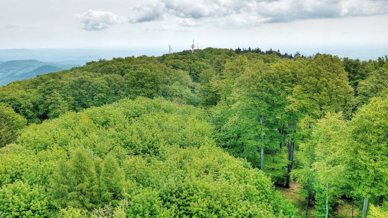 Views vom TV-Turm