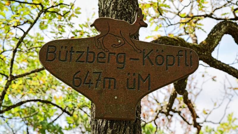 261014-buetzberg-koepfli-01267x_8x_9x