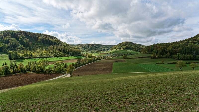 Blick Richtung Oberbötzberg