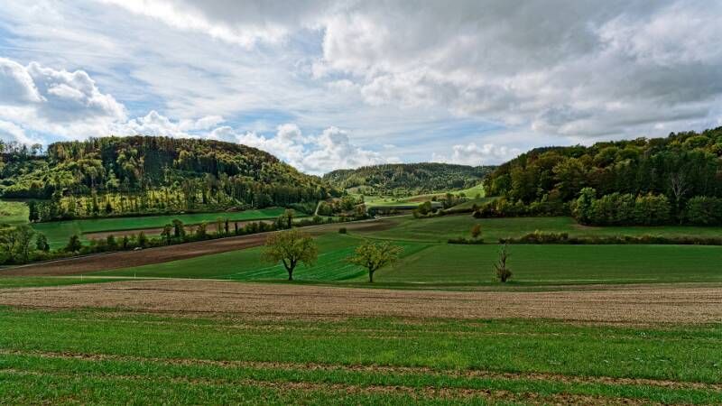 Schöne, hügelige Landschaft
