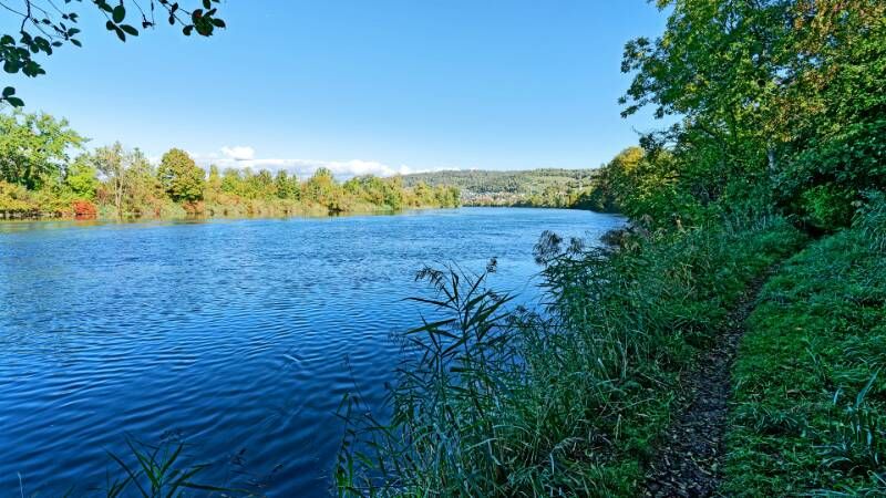 Der Wanderweg verläuft entlang der Aare