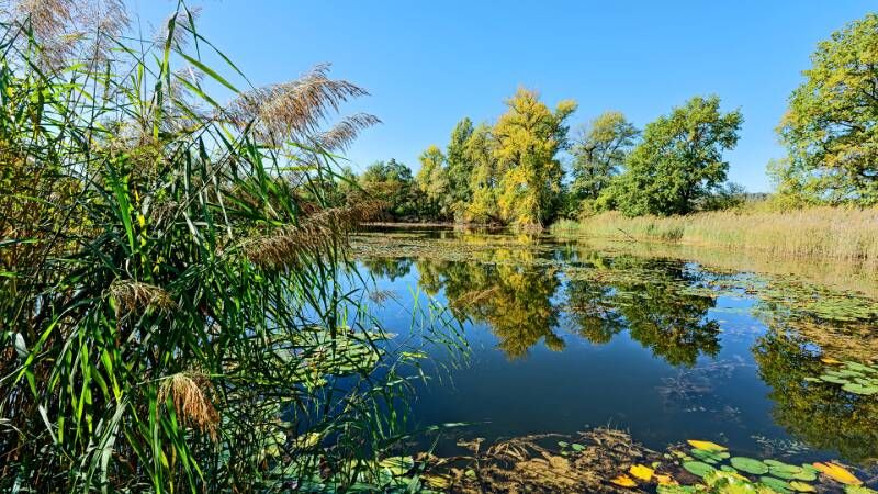 261012-rundwanderung-boettstein-doettingen-01192x_3x_4x
