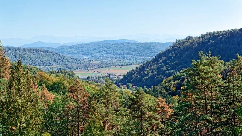 260927-rotberg-gratwanderung-zwischen-mandach-und-villingen-00856x_7x_8x