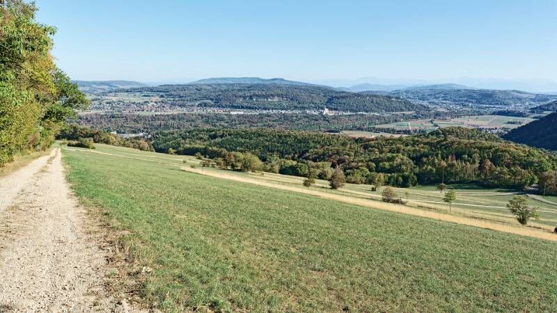 260927-rotberg-gratwanderung-zwischen-mandach-und-villingen-00943x_4x_5x