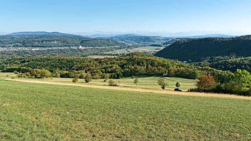 260927-rotberg-gratwanderung-zwischen-mandach-und-villingen-00946x_7x_8x