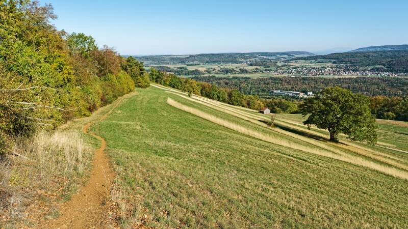 260927-rotberg-gratwanderung-zwischen-mandach-und-villingen-00955x_6x_7x