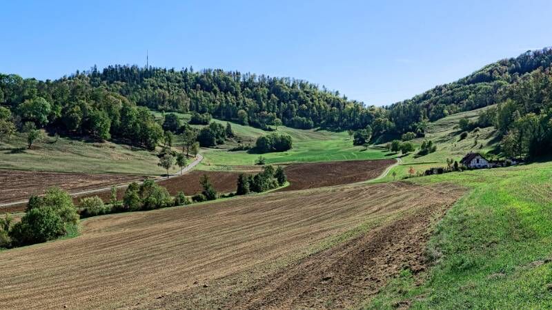 260926-wanderung-auf-laubberg-ab-hottwil-00760x_03_ek_sbtl2