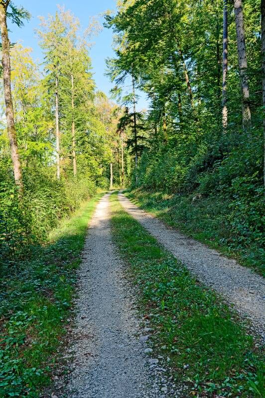 260926-wanderung-auf-laubberg-ab-hottwil-00844x_5x_6x