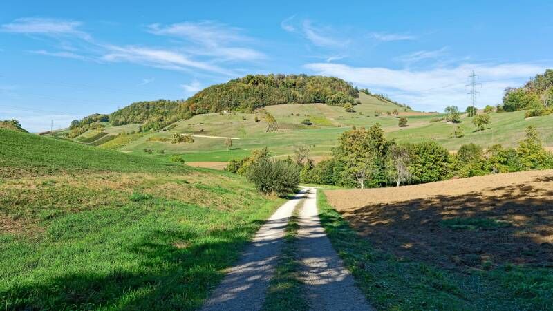 260926-wanderung-auf-laubberg-ab-hottwil-00847x_8x_9x