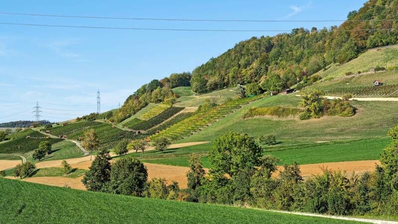 260926-wanderung-auf-laubberg-ab-hottwil-00850x_1x_2x
