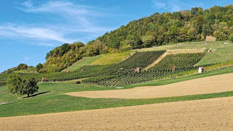 260926-wanderung-auf-laubberg-ab-hottwil-00853x_4x_5x