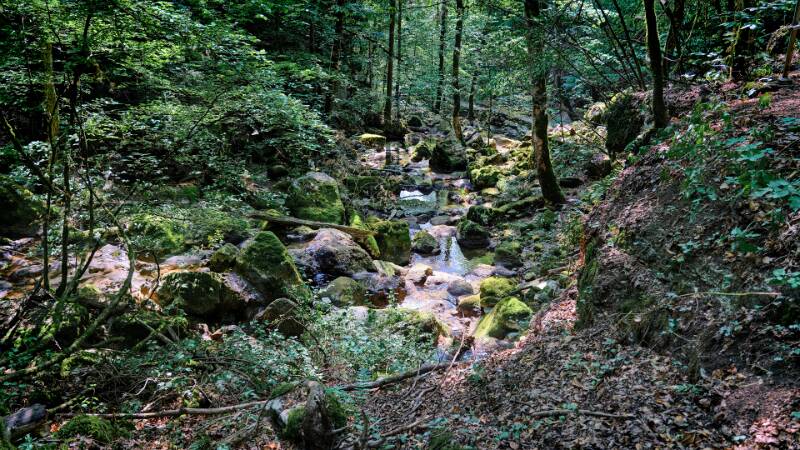 In der schattigen Twannbachschlucht