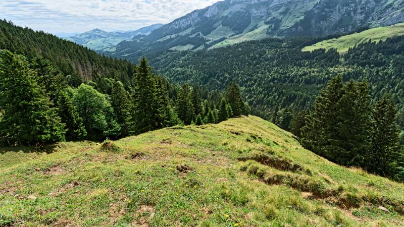 Abstieg entlang des Rückens