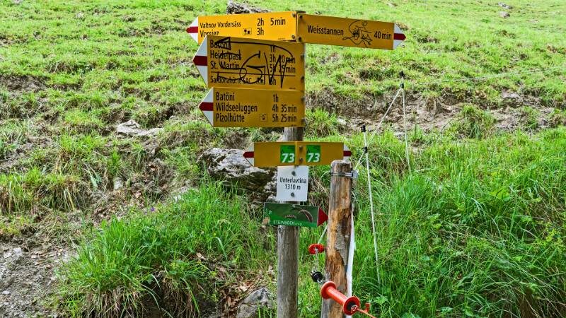 260617-Rundwanderung-auf-Horn-im-Weisstannental-03114x_5x_6x