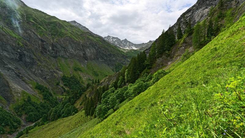 Langer, steiler Hang im Aufstieg