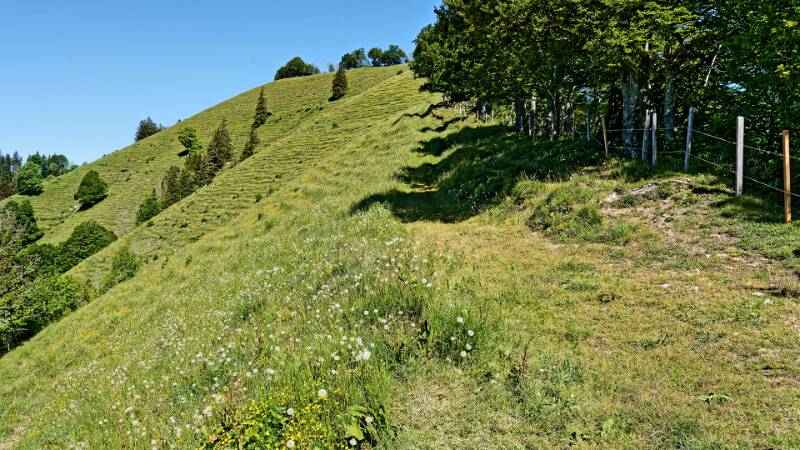 Den Kamm erreicht. Der Weg in diese Richtung führt zum Schnebelhorn