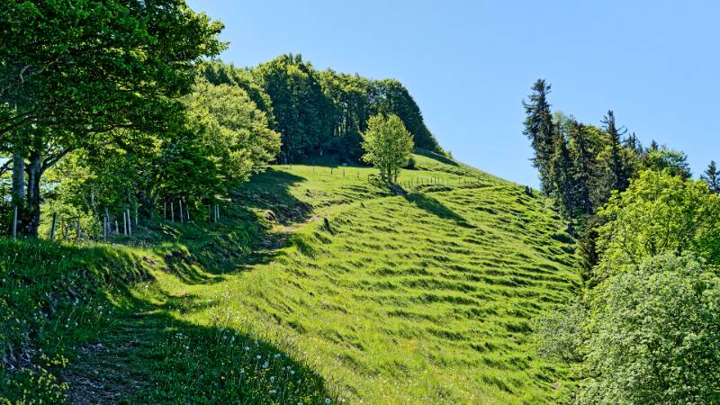 ... und da ist die Richtung zum Habrütispitz