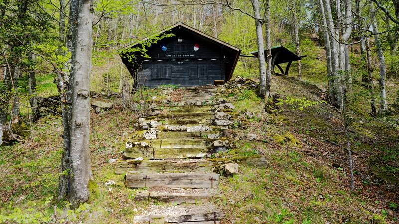 Chalet Geissfluh