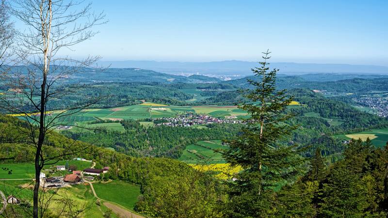 Blick bis nach Basel