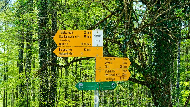 260423-aussichtsturm-wisenberg-01861x_2x_3x